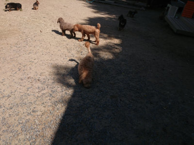 f:id:roukenhome-ann:20190524150646j:plain