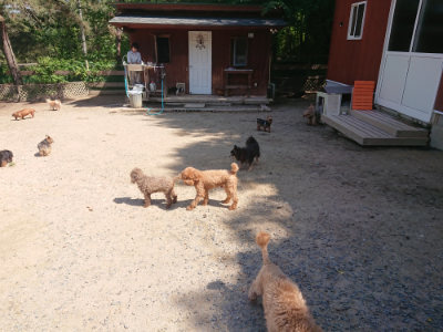 f:id:roukenhome-ann:20190524150653j:plain