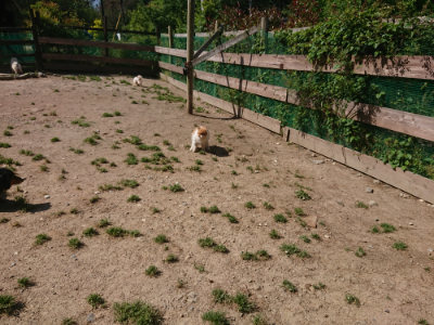 f:id:roukenhome-ann:20190524150702j:plain