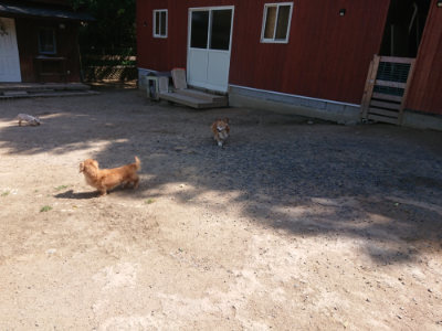 f:id:roukenhome-ann:20190524150708j:plain