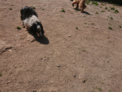 f:id:roukenhome-ann:20190524150714j:plain