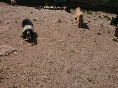 f:id:roukenhome-ann:20190524150726j:plain