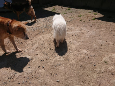 f:id:roukenhome-ann:20190524151513j:plain