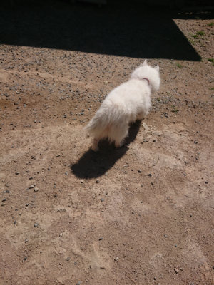 f:id:roukenhome-ann:20190524151519j:plain