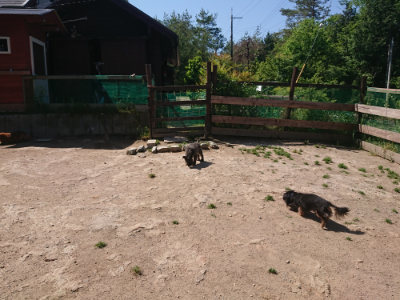 f:id:roukenhome-ann:20190524151551j:plain
