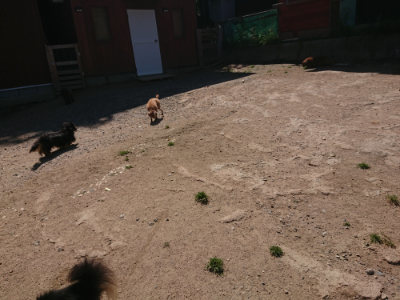 f:id:roukenhome-ann:20190524151611j:plain