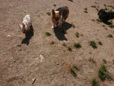 f:id:roukenhome-ann:20190524151616j:plain