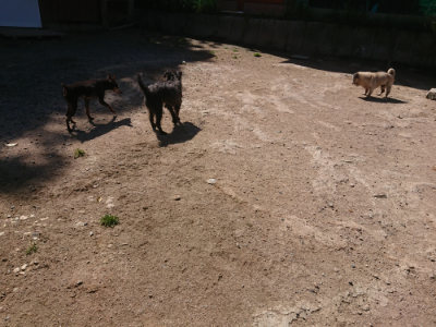 f:id:roukenhome-ann:20190524151621j:plain