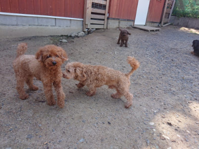 f:id:roukenhome-ann:20190524151641j:plain