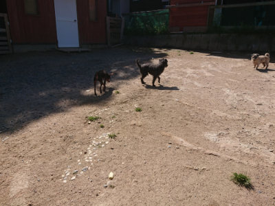 f:id:roukenhome-ann:20190524151652j:plain