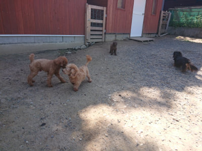 f:id:roukenhome-ann:20190524151703j:plain