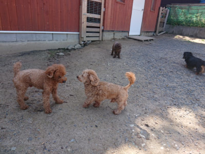f:id:roukenhome-ann:20190524151709j:plain