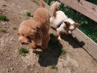 f:id:roukenhome-ann:20190524151726j:plain