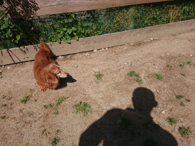f:id:roukenhome-ann:20190524151748j:plain