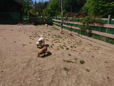 f:id:roukenhome-ann:20190524151758j:plain