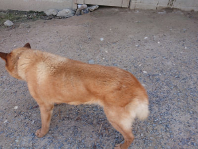 f:id:roukenhome-ann:20190524151807j:plain