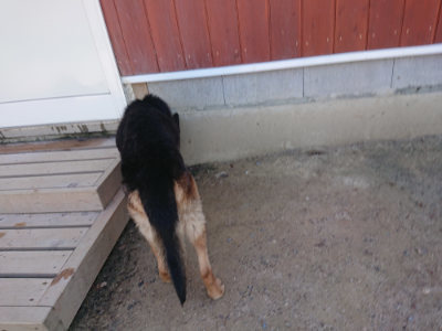 f:id:roukenhome-ann:20190524151812j:plain