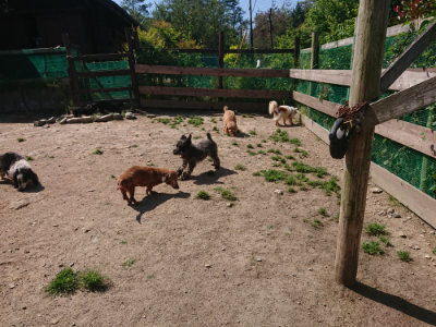 f:id:roukenhome-ann:20190524151828j:plain
