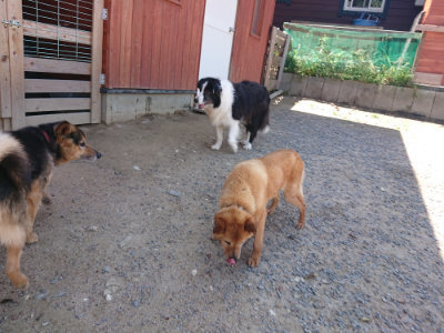 f:id:roukenhome-ann:20190524151840j:plain