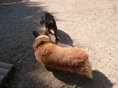 f:id:roukenhome-ann:20190524151844j:plain