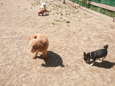 f:id:roukenhome-ann:20190524151903j:plain