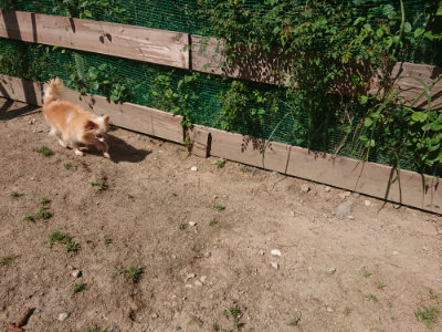 f:id:roukenhome-ann:20190524151921j:plain