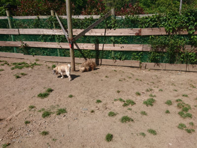 f:id:roukenhome-ann:20190524151931j:plain