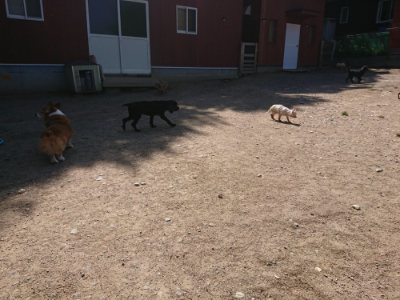 f:id:roukenhome-ann:20190524151943j:plain