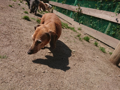 f:id:roukenhome-ann:20190524151950j:plain