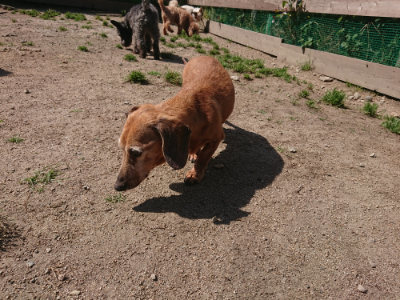 f:id:roukenhome-ann:20190524151956j:plain