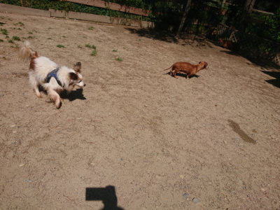 f:id:roukenhome-ann:20190524152002j:plain
