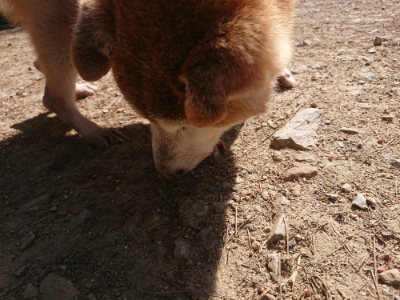 f:id:roukenhome-ann:20190524152012j:plain
