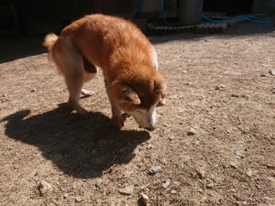 f:id:roukenhome-ann:20190524152018j:plain
