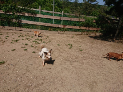 f:id:roukenhome-ann:20190524152026j:plain