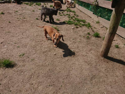 f:id:roukenhome-ann:20190524152049j:plain