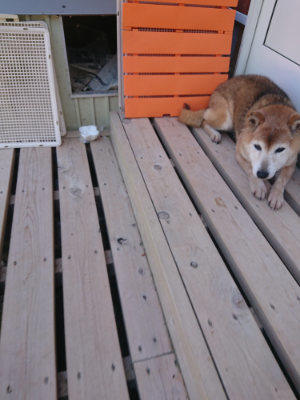 f:id:roukenhome-ann:20190524152059j:plain