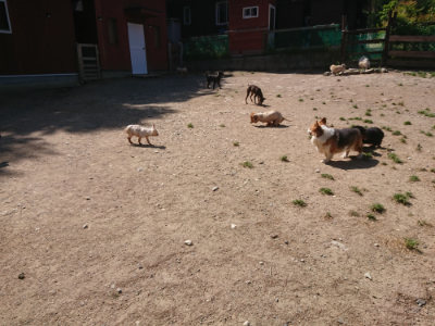 f:id:roukenhome-ann:20190524152105j:plain