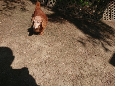 f:id:roukenhome-ann:20190524152119j:plain