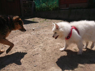 f:id:roukenhome-ann:20190524152124j:plain