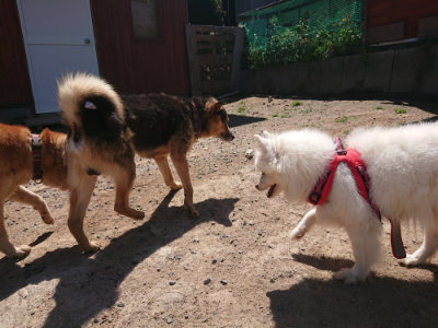 f:id:roukenhome-ann:20190524152131j:plain