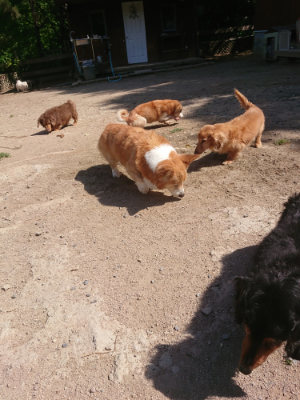 f:id:roukenhome-ann:20190524152136j:plain
