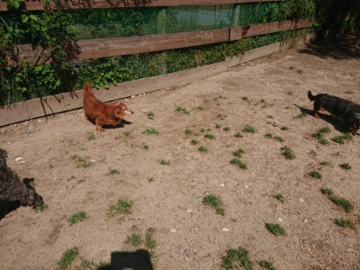 f:id:roukenhome-ann:20190524152142j:plain