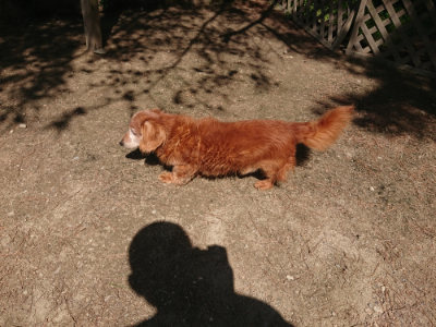 f:id:roukenhome-ann:20190524152146j:plain
