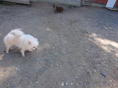 f:id:roukenhome-ann:20190524170917j:plain