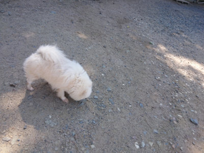 f:id:roukenhome-ann:20190524170938j:plain