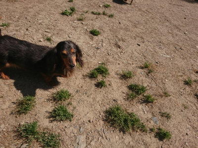 f:id:roukenhome-ann:20190524170948j:plain