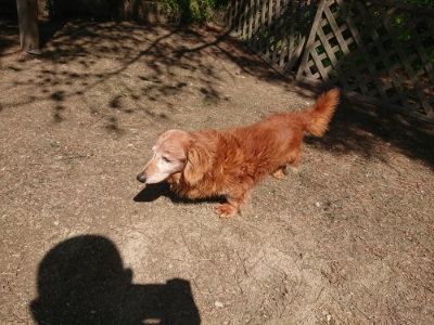 f:id:roukenhome-ann:20190524171011j:plain