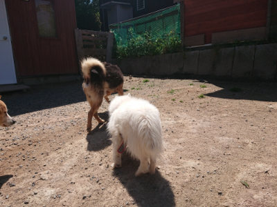 f:id:roukenhome-ann:20190524171035j:plain