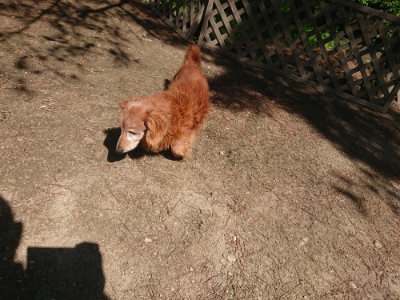 f:id:roukenhome-ann:20190524171115j:plain