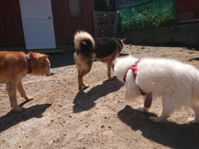 f:id:roukenhome-ann:20190524171133j:plain
